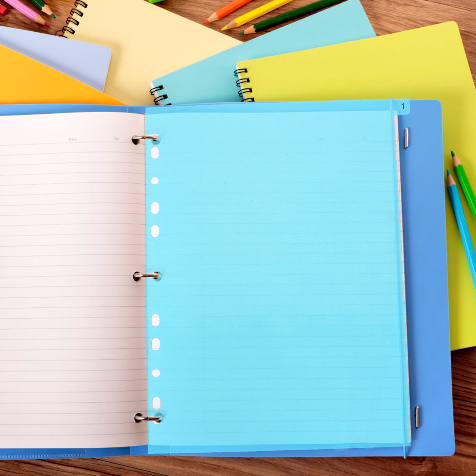 5Pcs Binder Dividers Colorful  - đánh giá và giá Tab Divider A4