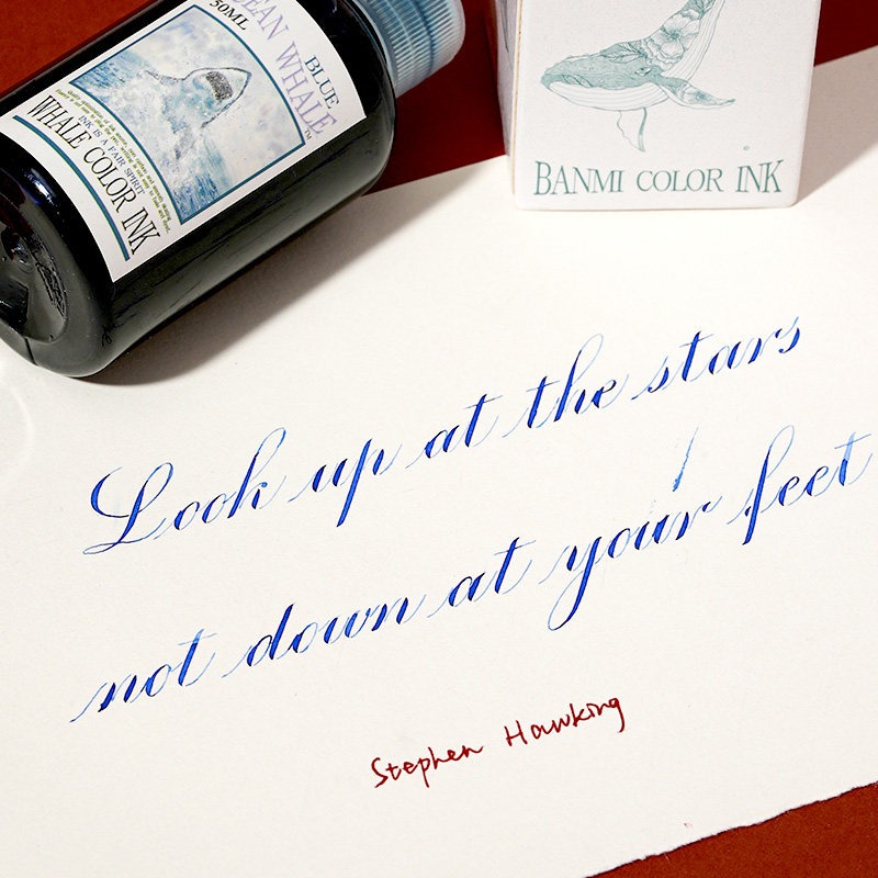 Banmi Whale Series Fountain Pe - đánh giá và giá Fountain Pen Bottled Ink