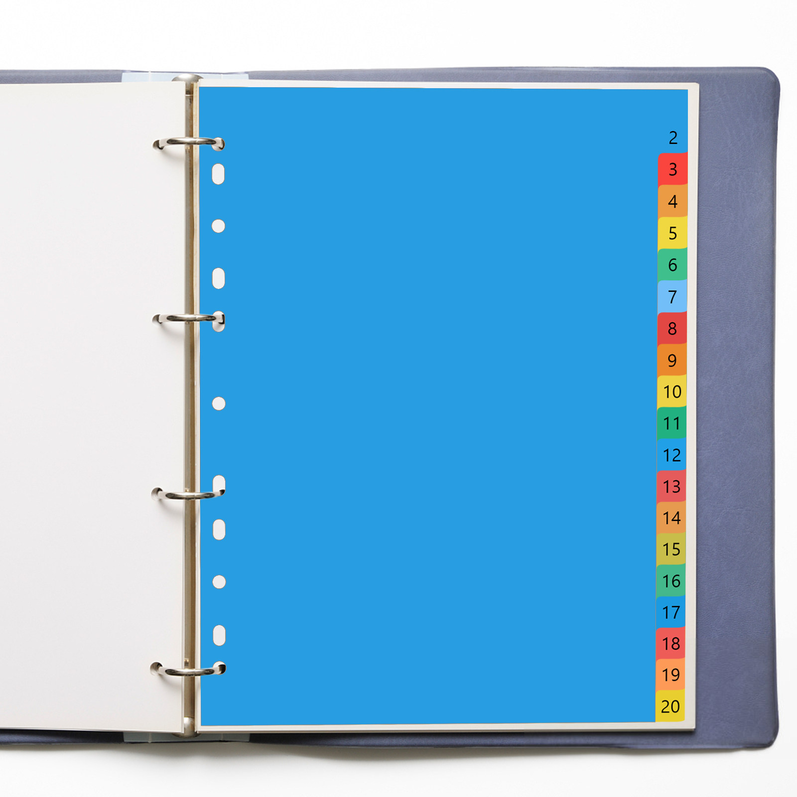 A4 Colorful Plastic Classified - đánh giá và giá Tab Divider A4