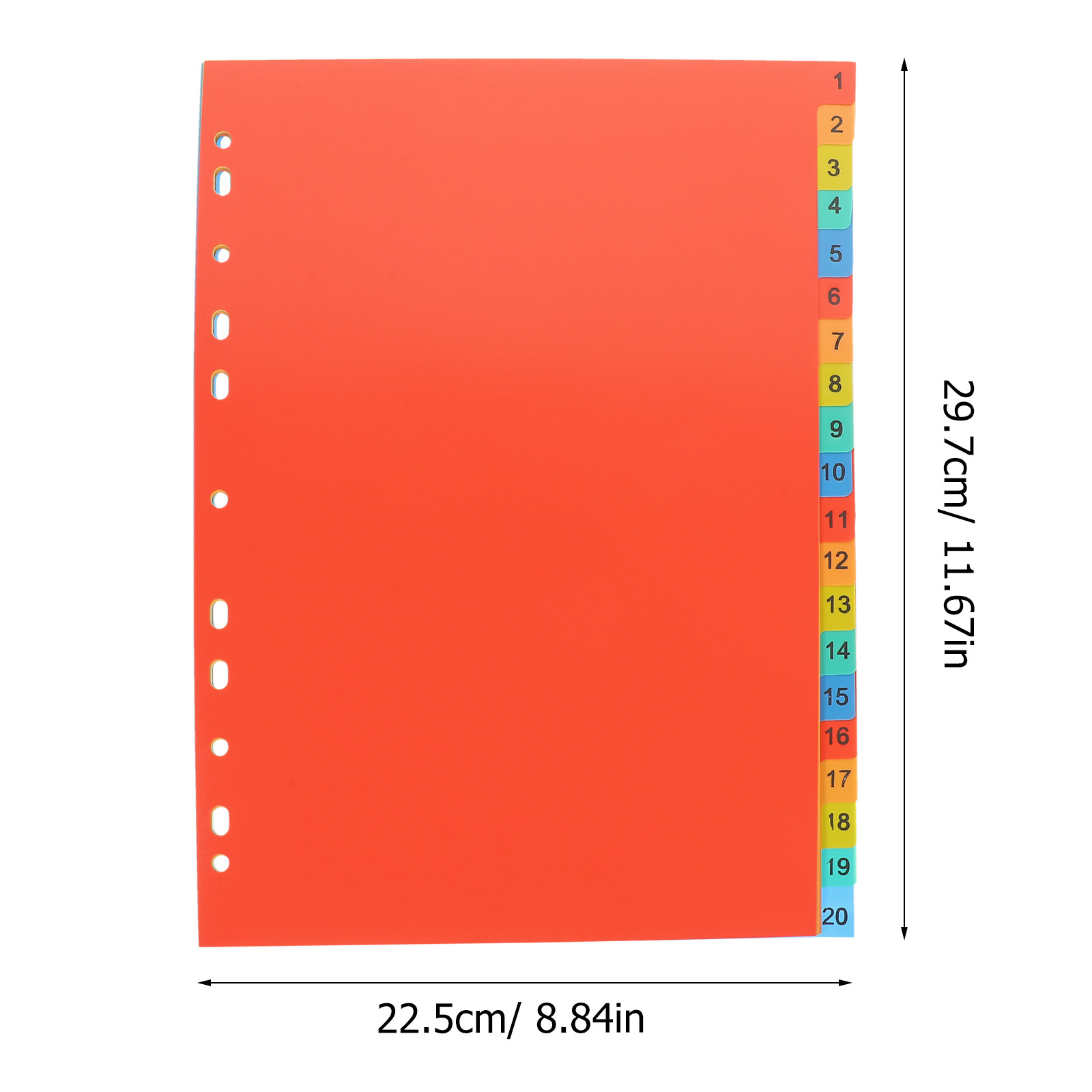 20Sheets A4 Tabbed Binder Divi - đánh giá và giá Tab Divider A4